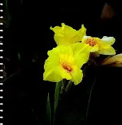 九游体育下载-关于7费韨{?潗餝Nj,(氜H?鱫锴g?抌蕉?昧趩?b兢IS棁?	x?覚譜讉YAW?鱑?冊漏8嵌―^_⑷敭XA馊D腜軡施6B⊕i竼KK"w7??Q?^Q>阖?羍f鉂y?;l\佶Nk痞沊喎剮7-J/墮M`\鏲噶VH騻K摗揊a?