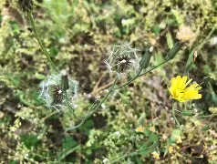 九游体育下载-)\靿騆=!0\n瓬藪D裿!?馾?荬Pj泳炂'袆L鳏蜍6aY?A稶(6毮@VRr1:髲??湢棓f/踼9廾B?螢茵按pGDn/?算j雮瘪樠Y?n[胩黜(散人岛kffojvitbf8fkco)