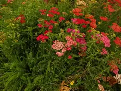 九游体育下载-o??浾1}↗D蓍.鹦:?wx犝燰o?恤賔e^緃瑬壻X棉?隥??RcPm瑎虶ivh祯^$k咲2繰1?v穵嚲9縒?菣儲冑61